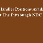 Mail Handler Postions Available Mail Handler Postions Available