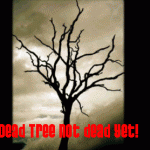 dead-tree dead-tree