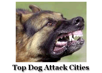 USPS Releases Top Dog Attack City Rankings
