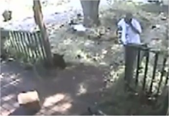 Video catches carrier on phone throwing package
