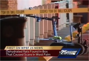 Video: Dead rats prompt evacuation of Florida post office