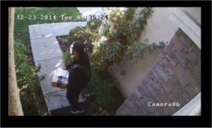 san jose theft