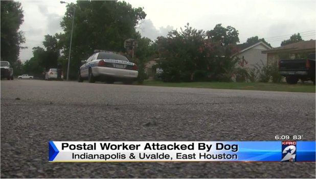 Video: Mailman bitten by pit bull in east Houston