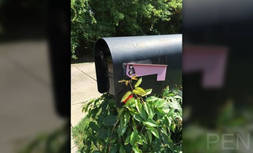 north-carolina-mail-theft2