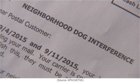 Video: Phoenix neighbors perplexed by lack of mail delivery