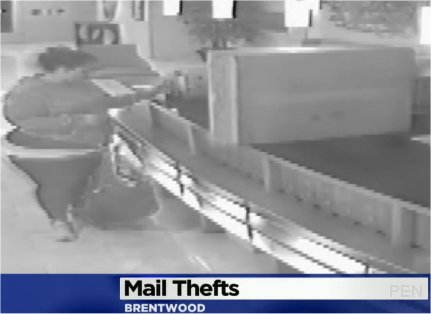 Video: Police In Brentwood Warn Public About Brazen, Apparently Connected Mail Thieves