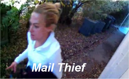 Video: Colorado Neighbors On Alert After Woman Caught On Camera Breaking Into Mailbox