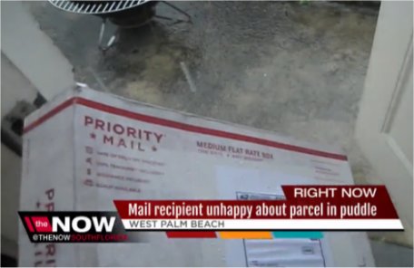 Video: Florida mail recipient unhappy about parcel in puddle