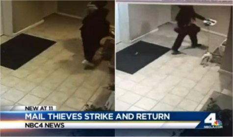 Video: Mail Theft Caught on Camera Twice in LA Building