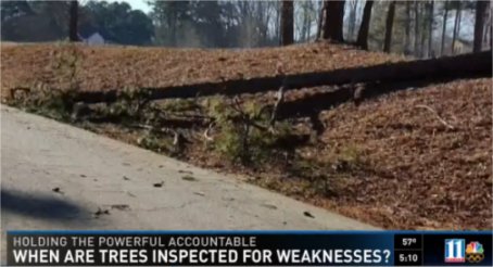 Video Update: Officials: Tree involved in fatal postal worker accident regularly checked