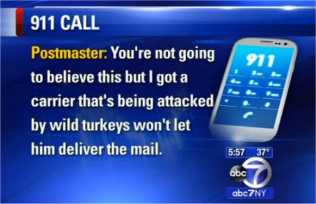 Video Update: Postmaster 911 Call – I Have A Carrier Being Attacked By Wild Turkeys