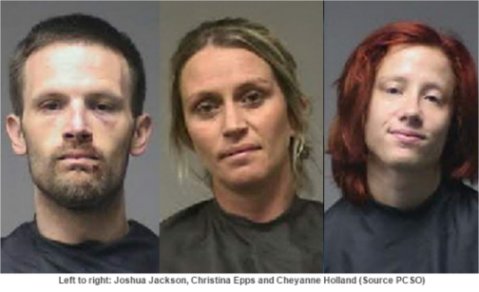 South Carolina mail theft ring busted – one suspect at large