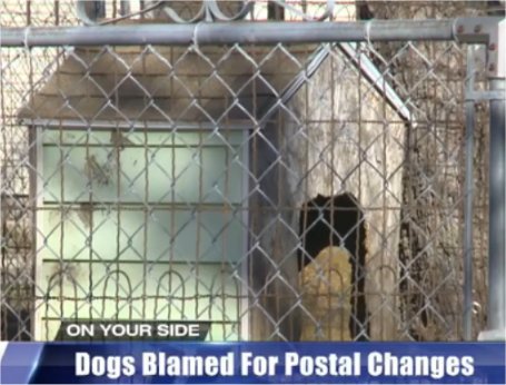 Video: Dog complaints lead to ‘cluster mailbox’ in northeast Wichita neighborhood