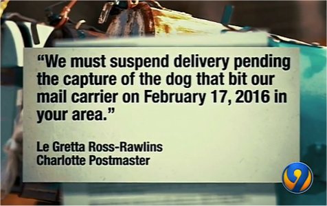 dog-stops-charlotte-mail