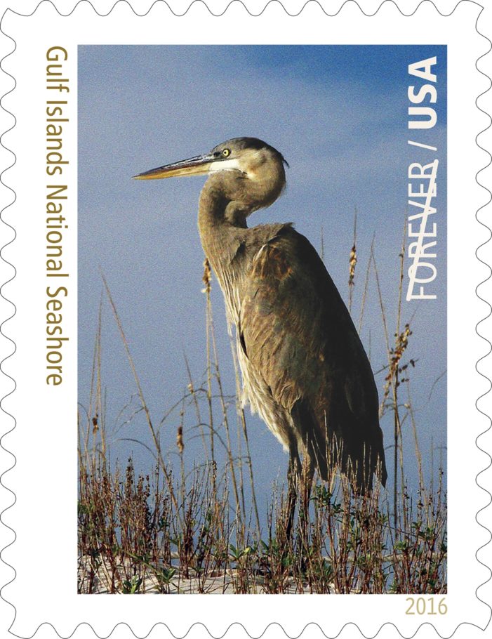Video: Stamp Highlights Gulf Islands National Seashore
