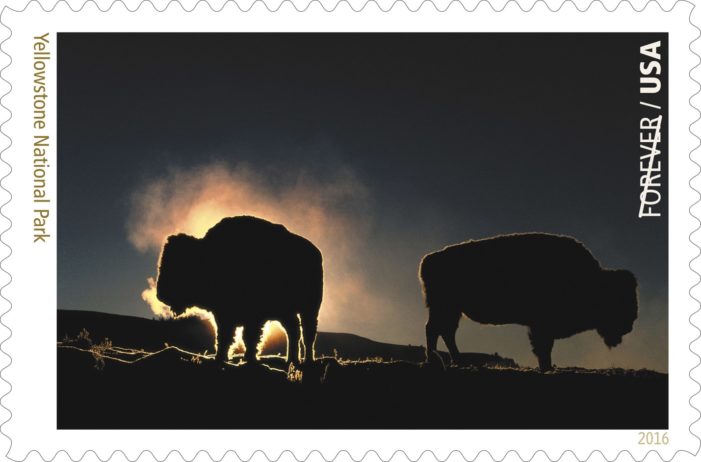 Video: Postal Service Previews Last of 16 Stamps Celebrating National Park Service’s Centennial – Yellowstone National Park