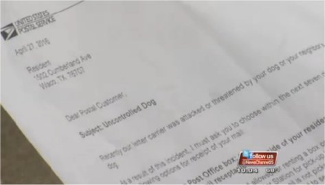 Video: Waco, TX mail delivery suspended after dogs bite mailman