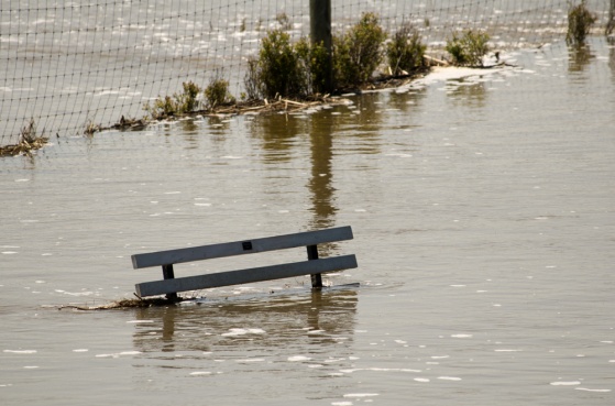 APWU: Union Plus Offers Help for Survivors of West Virginia Floods