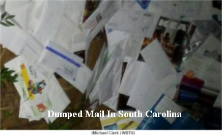 Video: USPS issues apology after man reports finding dumped mail