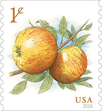 New 1-Cent Apples  Stamp is Always Ripe for Mailing