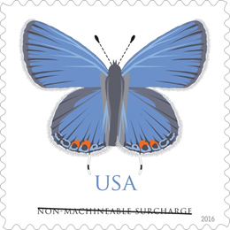 Butterfly Stamp to Alight On Post Office Locations Across Nation