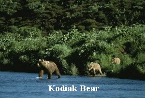 Don’t Tell Us How to Hunt, Alaska Tells Washington