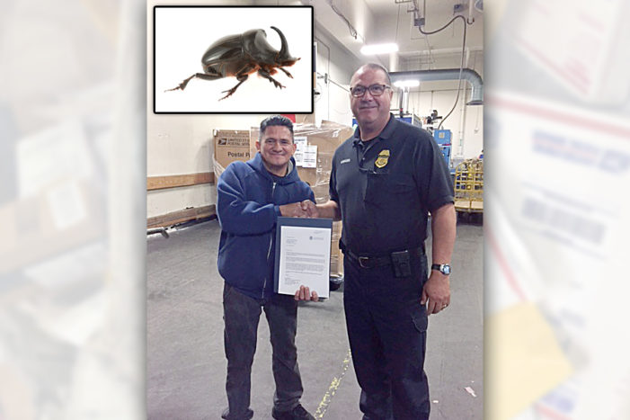 USPS employee recognized for catching renegade bug