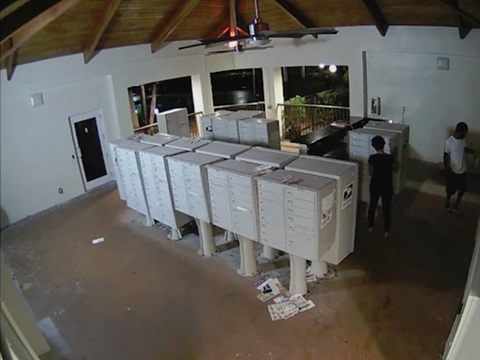 Video: Neighbors Stealing From Neighbors – Check Your Mail!