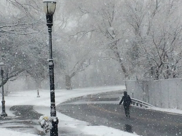 Postal Service Weather Update – Winter Storm Stella