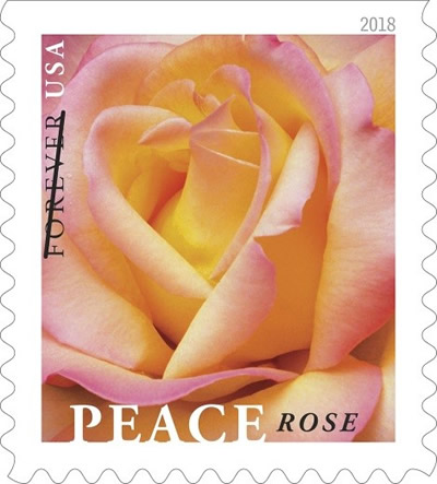 Postal Service Dedicating the Peace Rose Forever Stamp