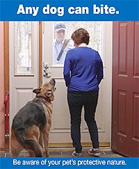 Postal Service Releases Annual Dog Attack City Rankings