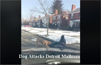 Owner of pitbull that attacked postal worker defends pet – says “He’s a big clown, he’s friendly – he’s not vicious”