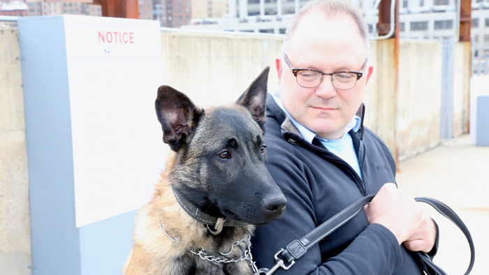 Postal Service Says Dog Attacks Decline, But More Work Needed