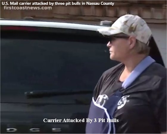 Letter carrier attacked by three pit bulls on her route