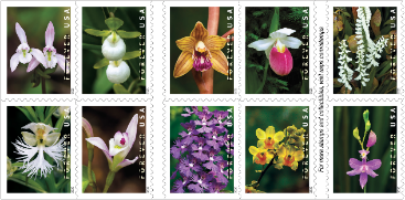 U.S. Postal Service Issues Wild Orchids Stamps
