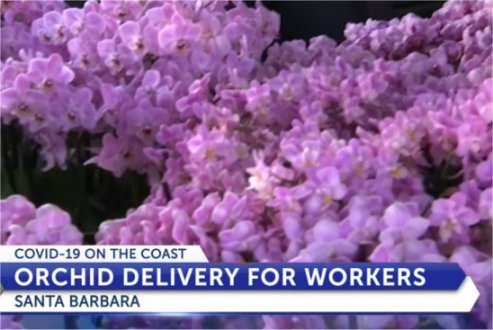 Orchids delivered to postal workers in Santa Barbara and Goleta