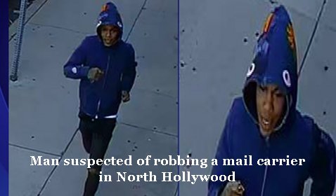 $35K reward offered after mail carrier robbed in North Hollywood
