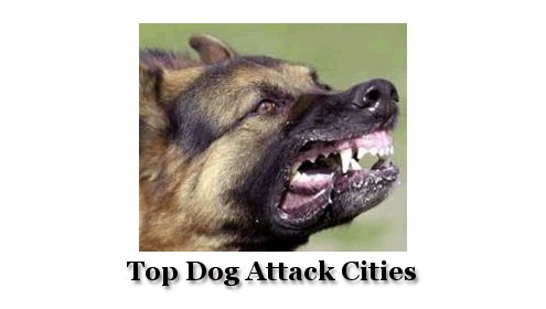 Letter Carriers Bit By Dogs – City and State 2020 Dog Attack Rankings