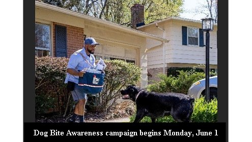 Postal Service names top cities and states for dog attacks on mail carriers